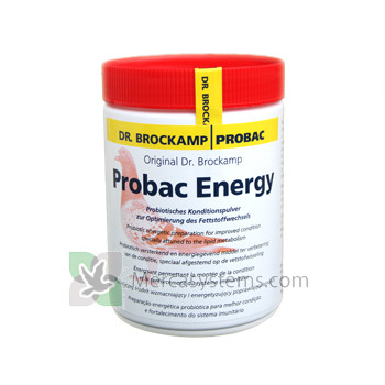 Probac Energy 500gr (probiotici Energizer per aumentare la resistenza durante il viaggio, l'allevamento e la muta). Per Piccioni. 
