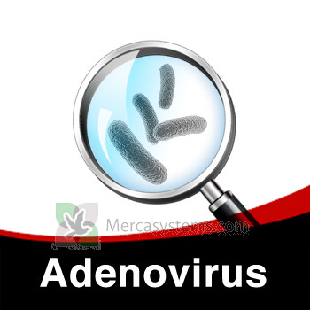 Schema da seguire per il trattamento individuale di Adenovirus in Piccioni