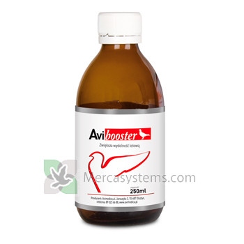 AviMedica Avibooster 250ml (alto rendimento energetico)