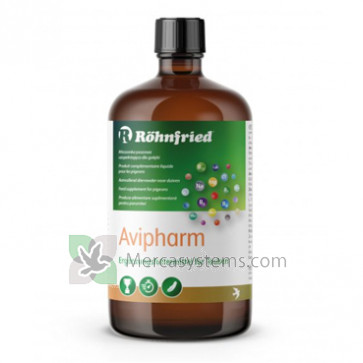 Rohnfried Avipharm 1000 ml (Elettroliti Glucosio + vitaminada) 