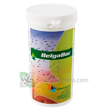 Belgica De Weerd BelgaBac 300gr (elettroliti + probiotici). Per i piccioni e uccelli 