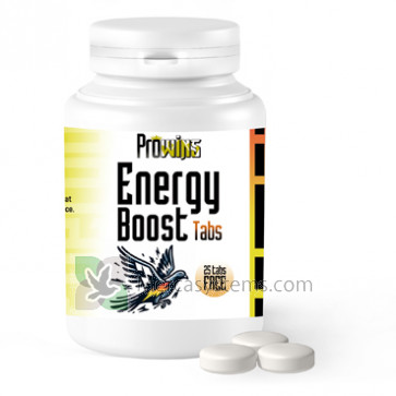 Prowins Energy Boost Pills