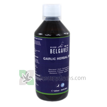 Belgavet Garlic Herbal 500ml (100% Antifungini e Antibiotici Naturali). Per piccioni e uccelli