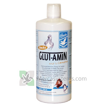 Backs Glut-Amin 500 ml (aminoacidi, glucosio, vitamina B e di elettroliti). Per Piccioni