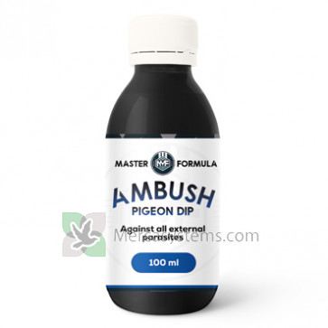 Ambush 100 ml 