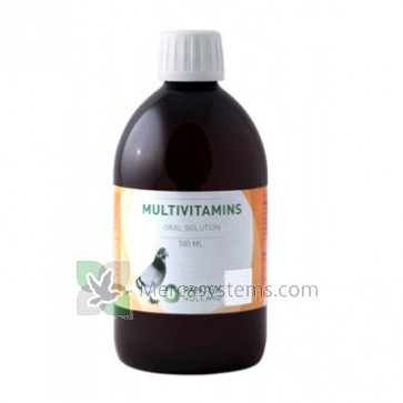 Pantex Multivitamins 500 ml (multivitaminico concentrato) 