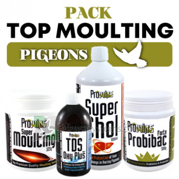 Pack Prowins Top Moulting Pigeons, (tutto inizia con un'eccellente muta)
