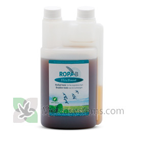 Ropa-B FliteBoost 500ml, (per proteggere le vie respiratorie, l'immunità e la digestione)