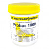 Dr Brockamp Probac 1000 500gr (probiotico +elettroliti concentrati di alta qualità). Per i piccioni 
