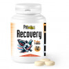 Prowins Recovery Tabs 100 + 25 Pillole gratuite, (Ripristino istantaneo e completo). Per i piccioni da corsa.