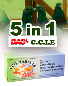 Dac CCIE Tablets, 5 en 1 para palomas