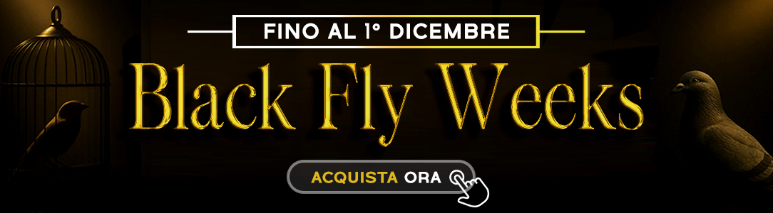 Black Friday 2025